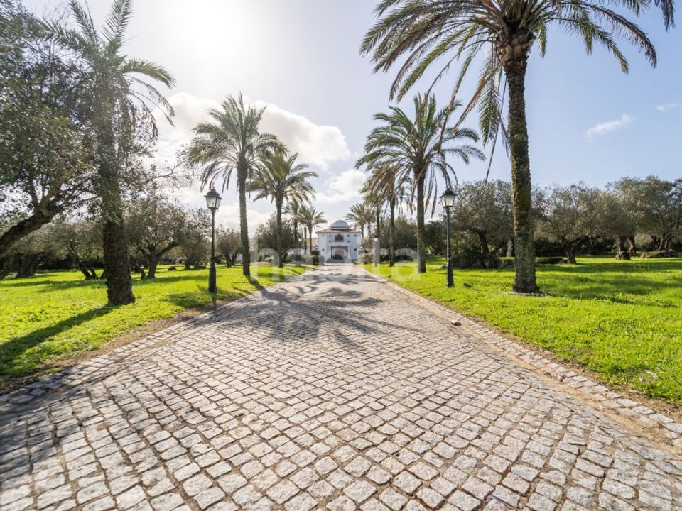 Farm i Evora, Evora - foto 4