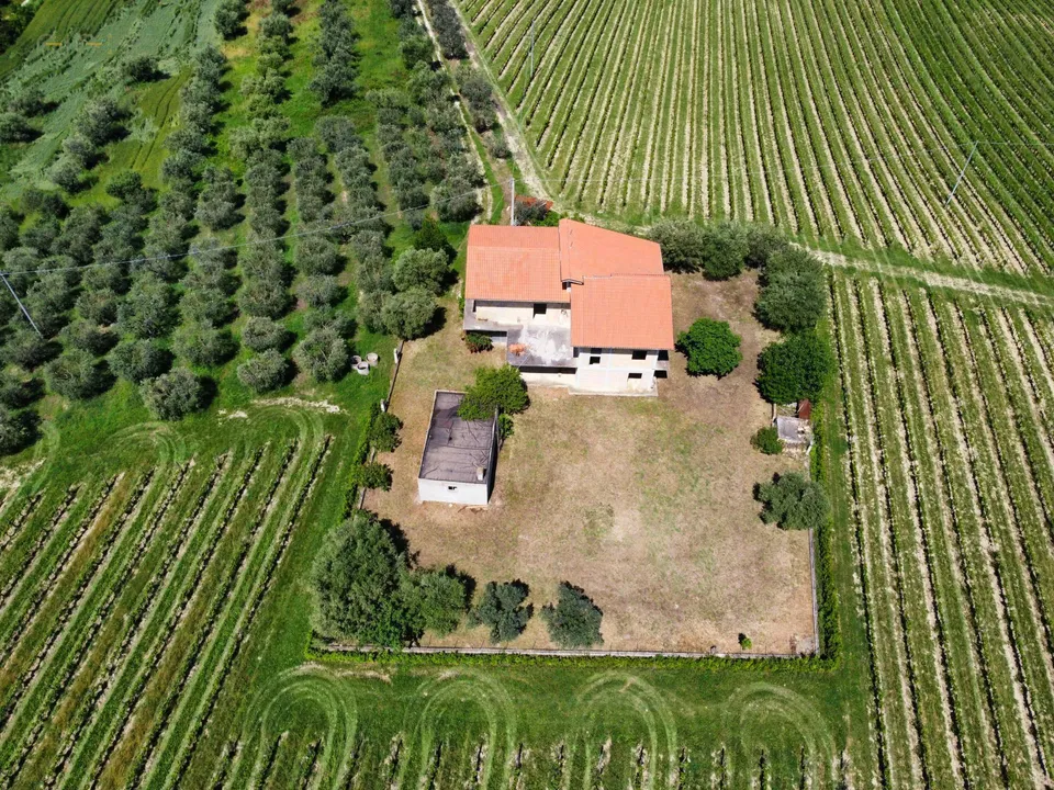Landejendom i Controguerra, Teramo - foto 2