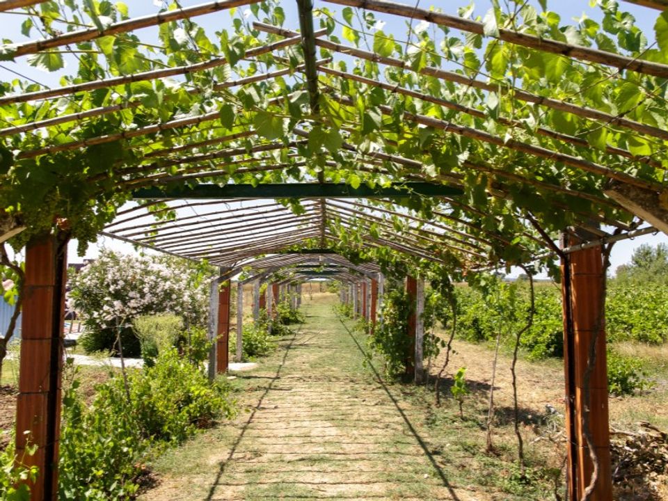 Farm hus i Estremoz, Evora - foto 3