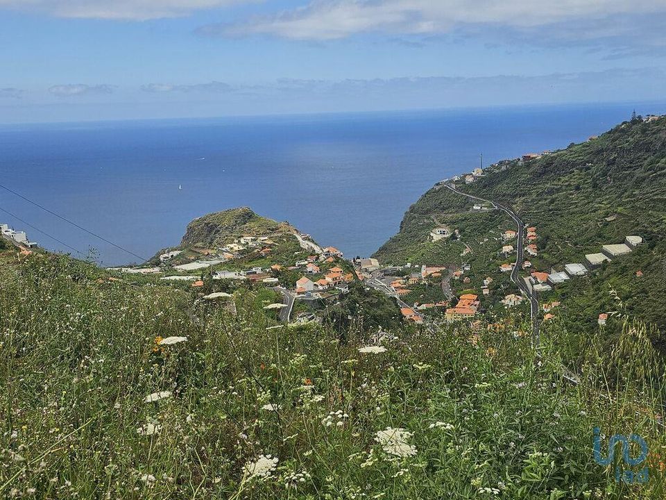 Tomt i Ribeira Brava, Madeira - bilde 2