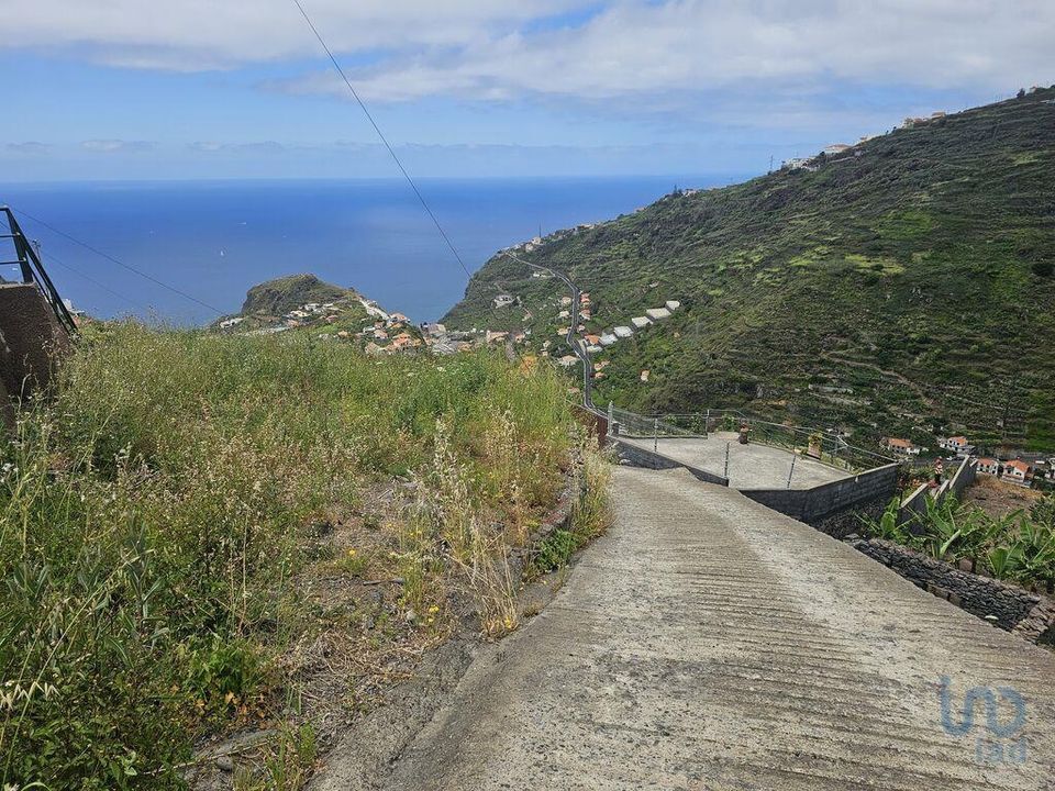 Tomt i Ribeira Brava, Madeira - bilde 3