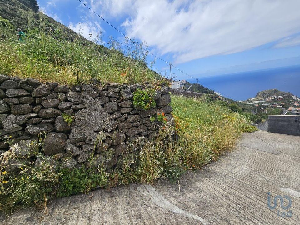 Tomt i Ribeira Brava, Madeira - bilde 5