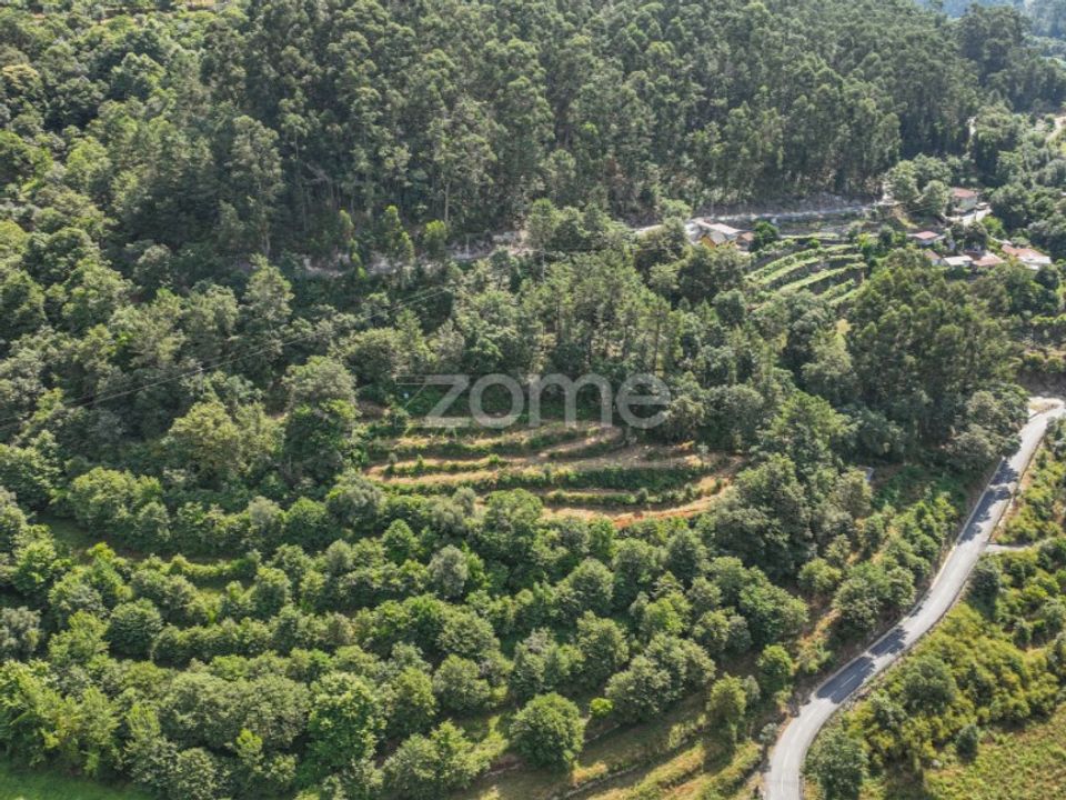 Terreno en Vilela, Seramil e Paredes Secas, Braga - foto 3