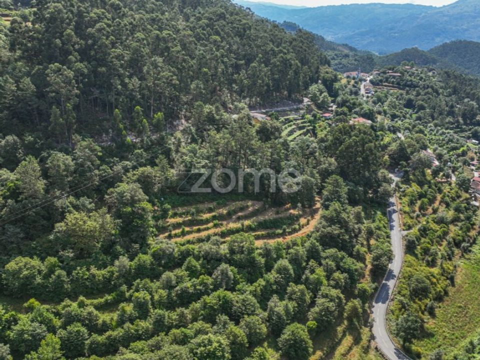 Terreno en Vilela, Seramil e Paredes Secas, Braga - foto 5