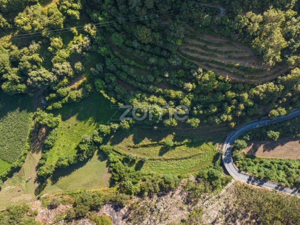 Grundstück in Vilela, Seramil e Paredes Secas, Braga - Foto 1