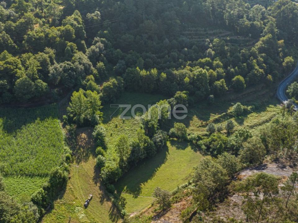 Terra em Vilela, Seramil e Paredes Secas, Braga - foto 1
