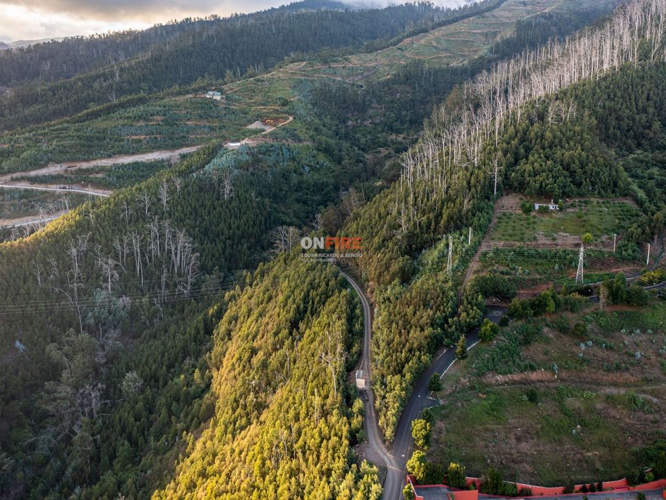 Helårsgrund i Sao Roque, Madeira - foto 3