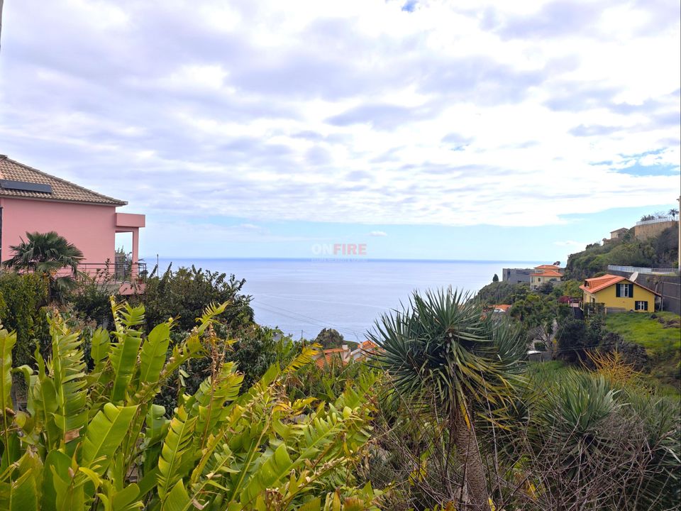 Helårsgrund i Calheta, Madeira - foto 2
