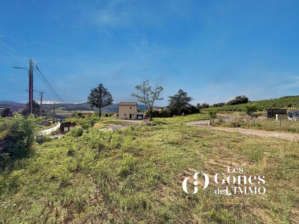 Terra a Oingt, Rhone - foto 2