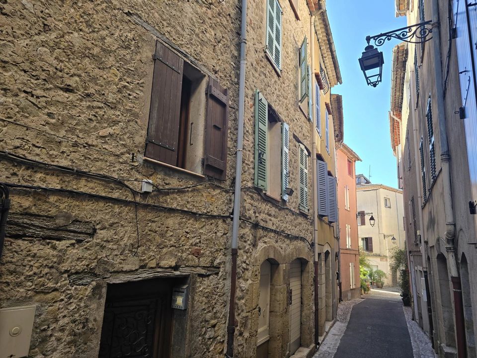Landejendom i Montauroux, Var - foto 3