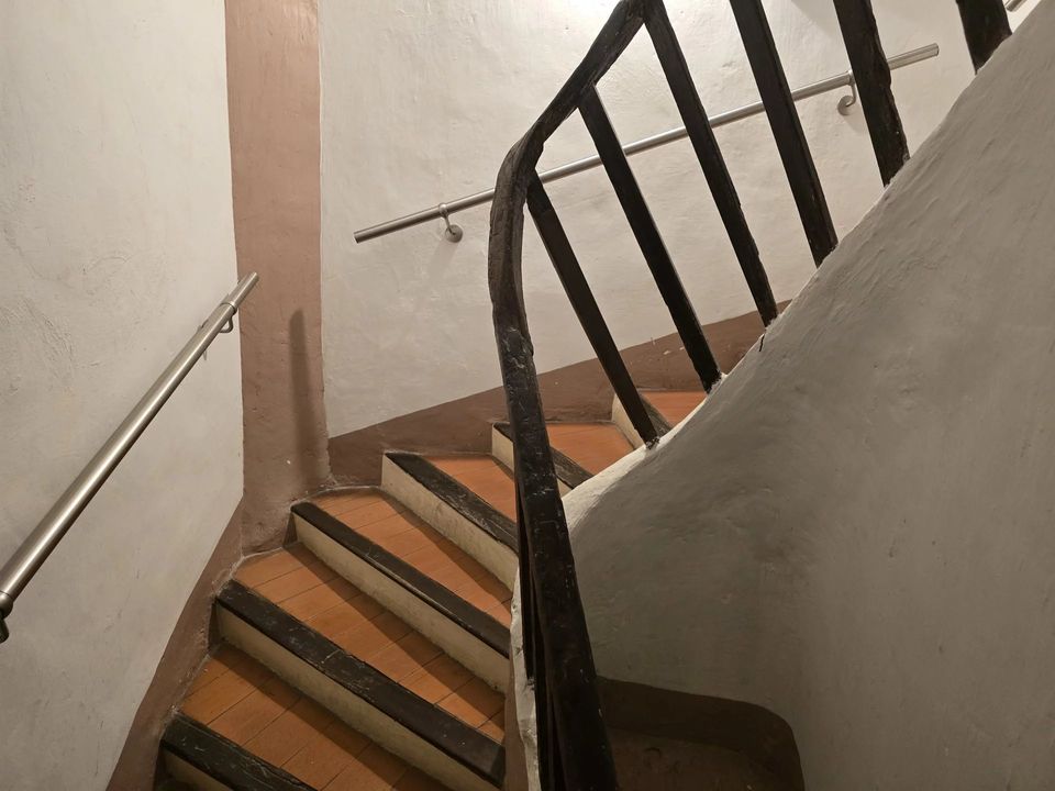 Landejendom i Montauroux, Var - foto 4