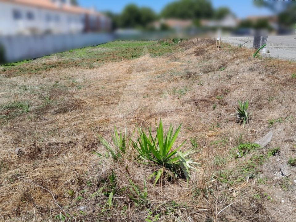 Helårsgrund i Ilhavo, Aveiro - foto 3