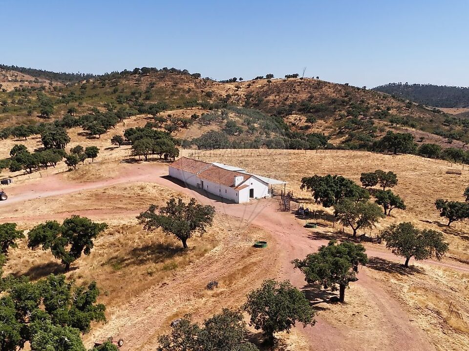 Granja en Portel, Evora - foto 1