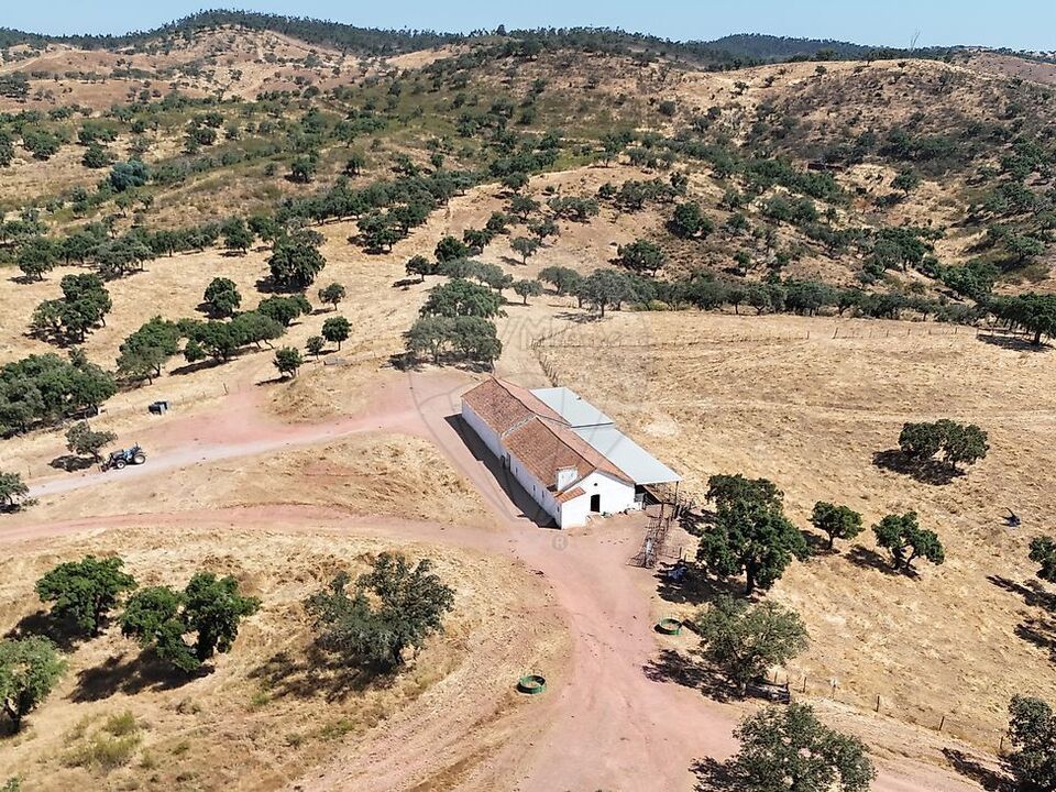 Granja en Portel, Evora - foto 2