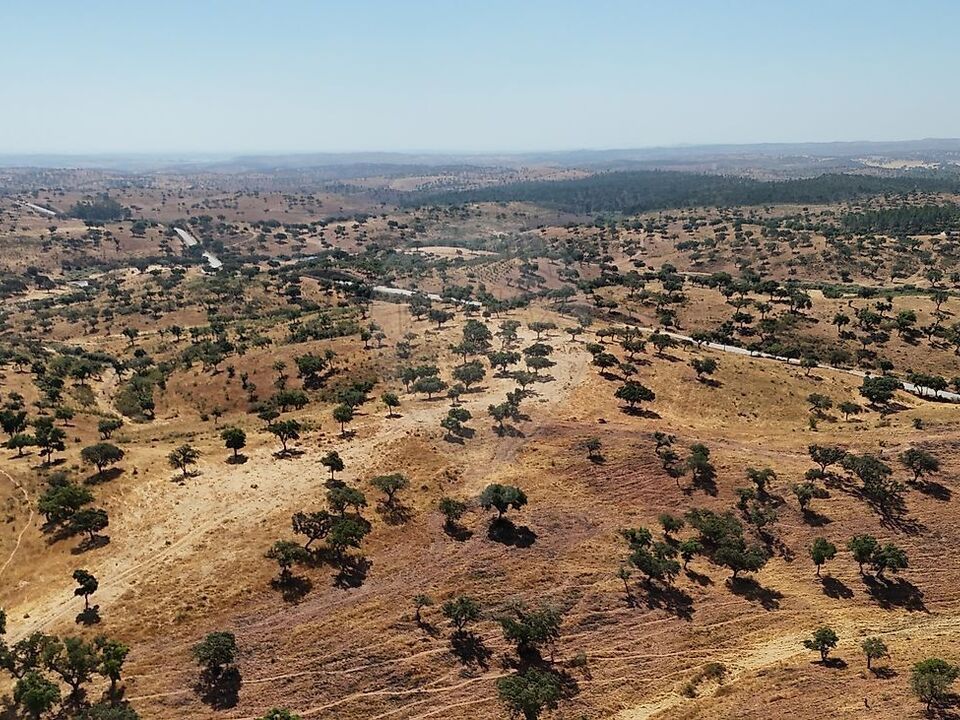 Granja en Portel, Evora - foto 3