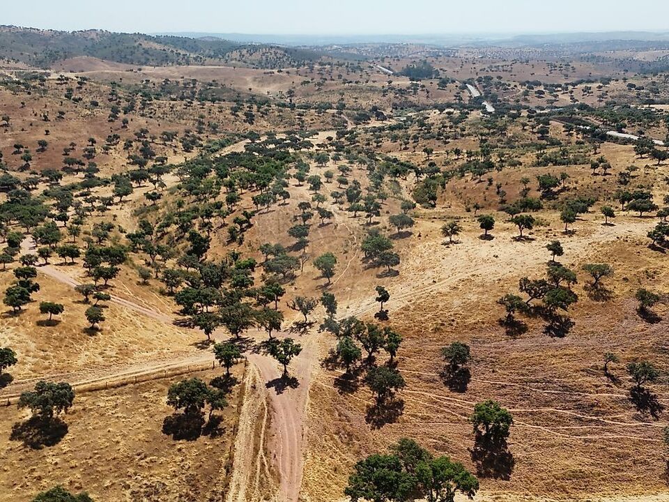 Granja en Portel, Evora - foto 4