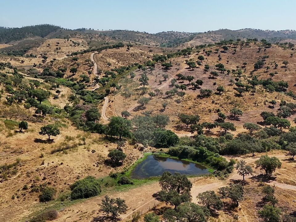 Granja en Portel, Evora - foto 5