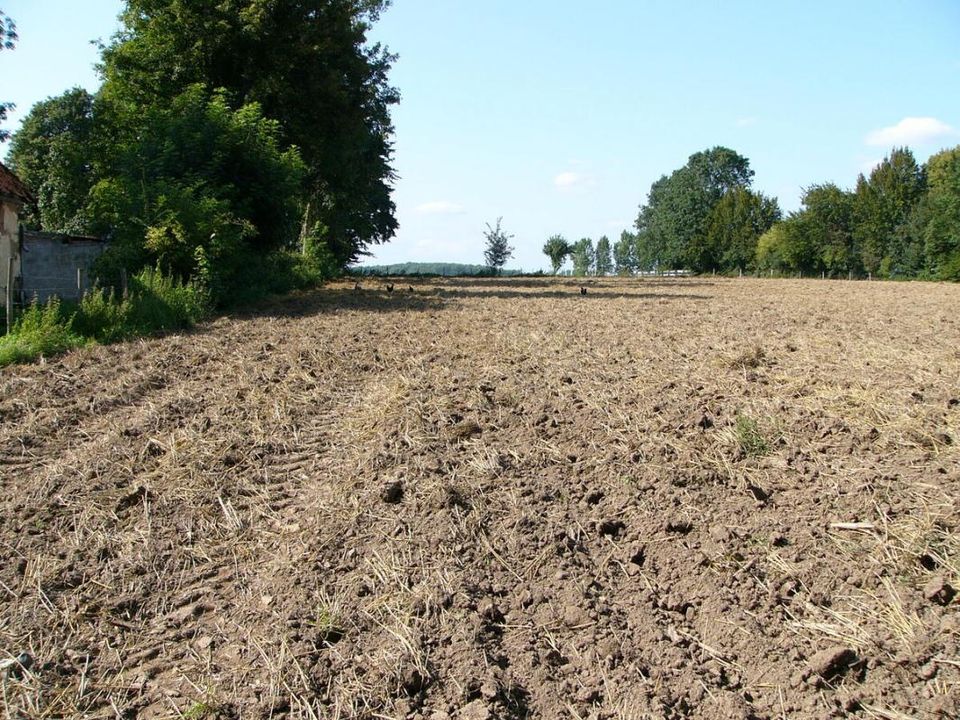 Helårsgrund i Humières, Pas-de-Calais - foto 1