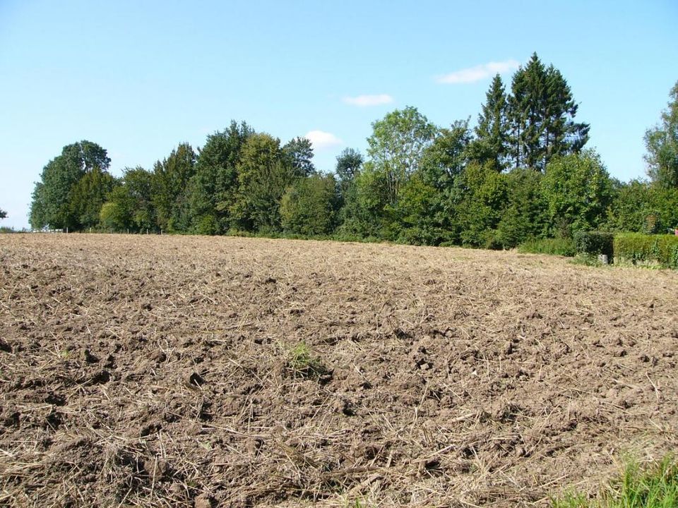 Helårsgrund i Humières, Pas-de-Calais - foto 2