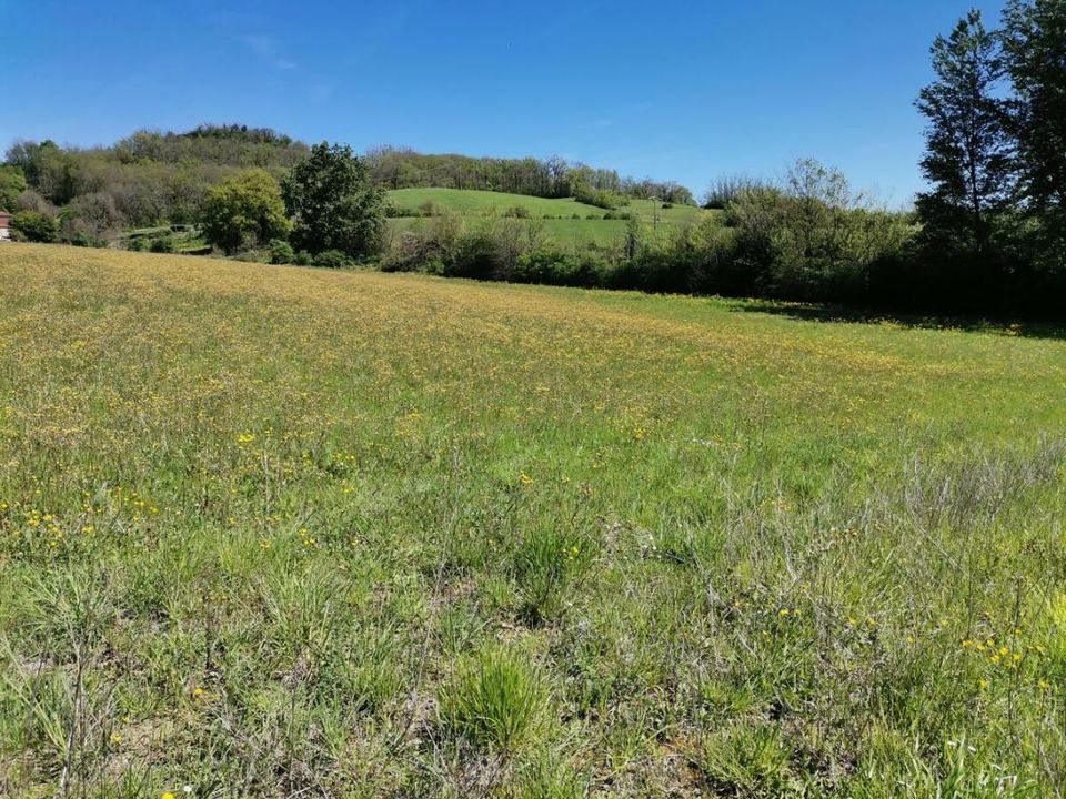 Helårsgrund i Dausse, Lot-et-Garonne - foto 3