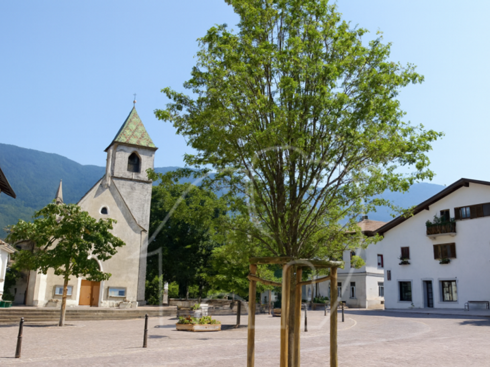 Erhvervsejendom i Cortina sulla Strada del Vino, South Tyrol - foto 2