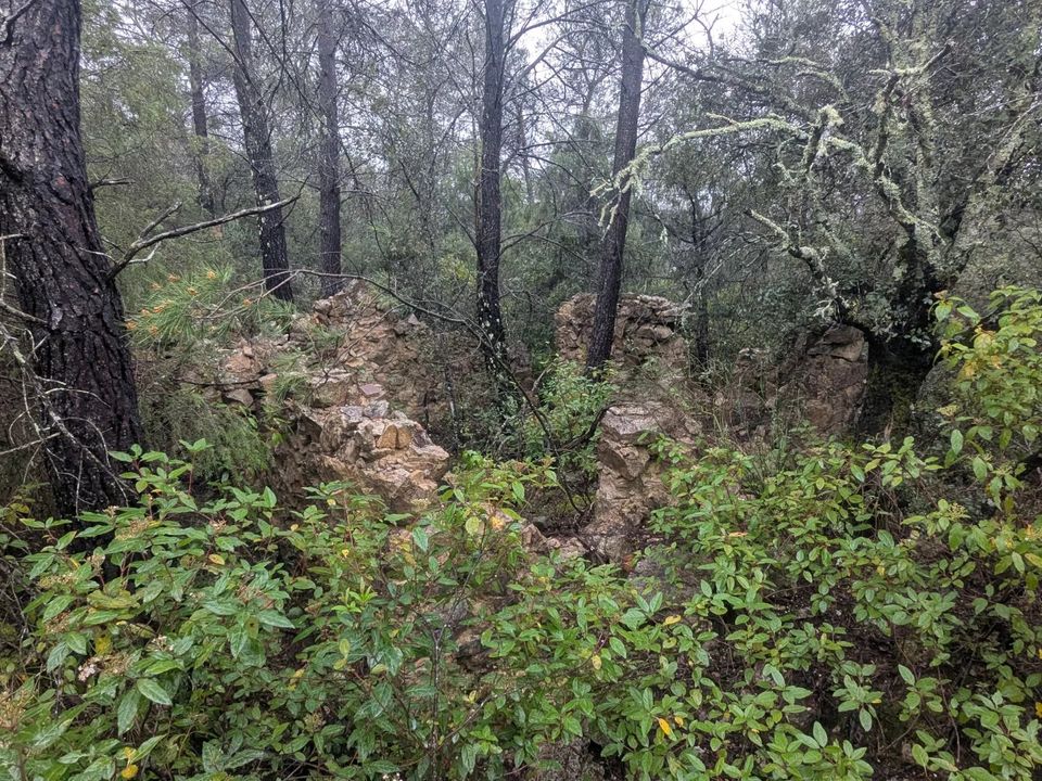 Działka: Cotignac, Var – zdjęcie 2