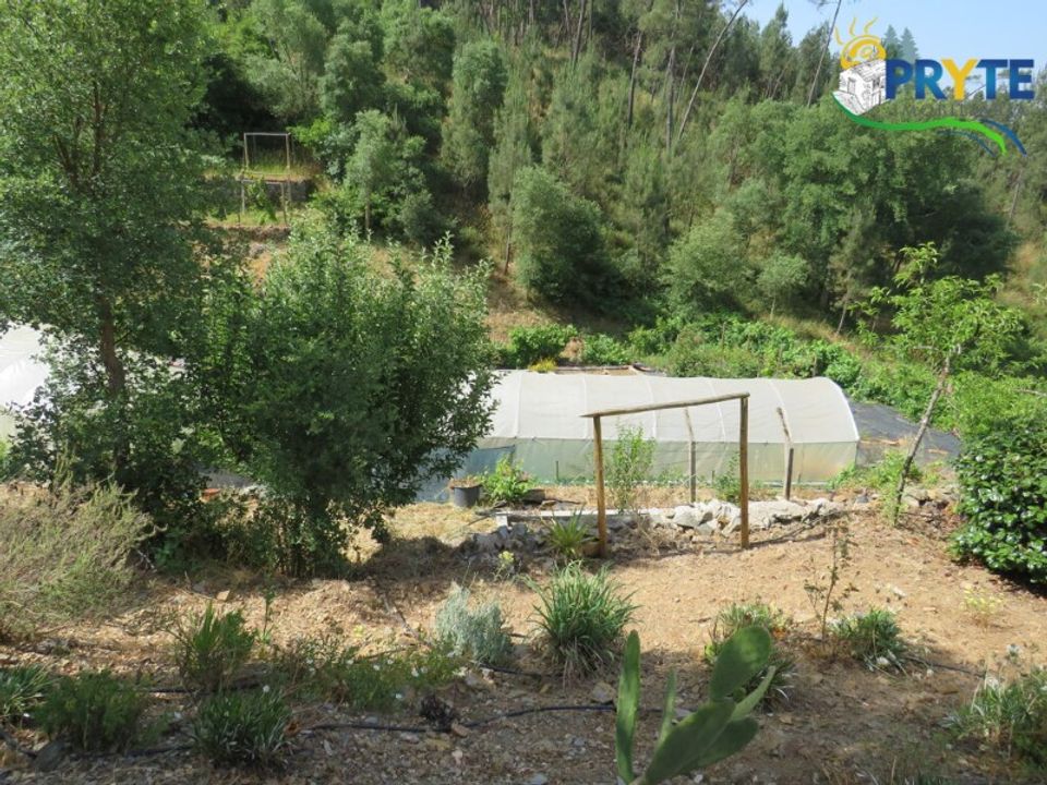 Farm i Serta, Castelo Branco - foto 3