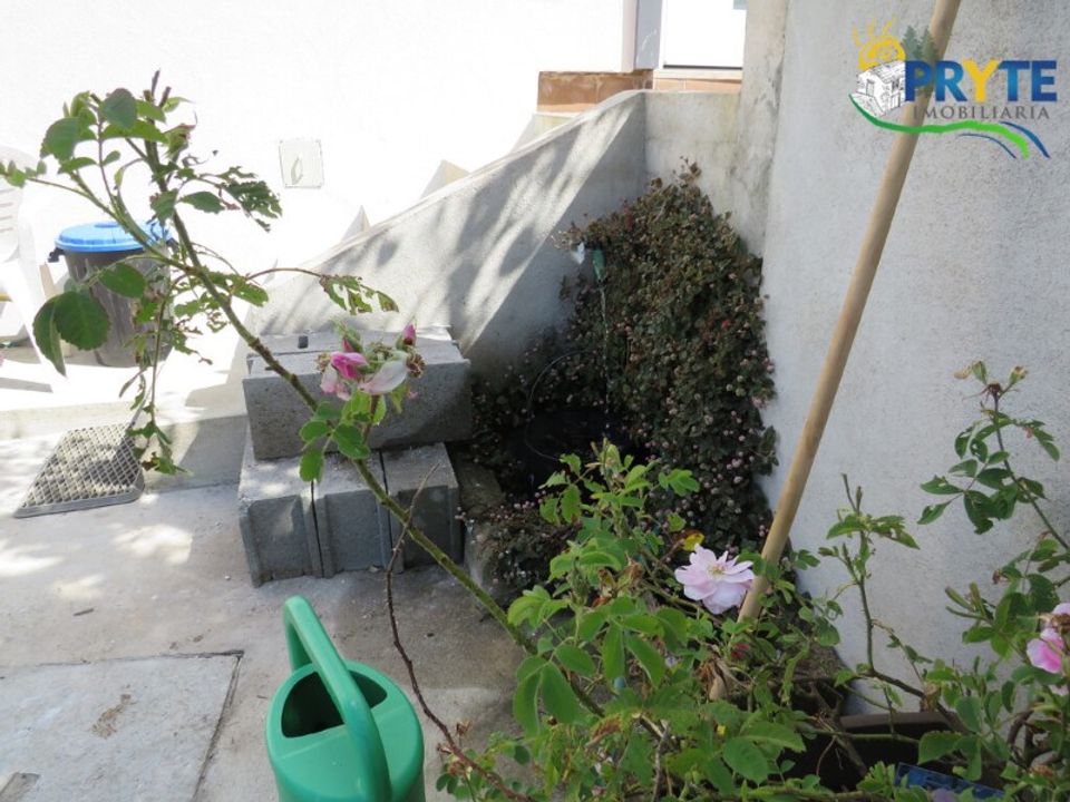 Farm i Serta, Castelo Branco - foto 5
