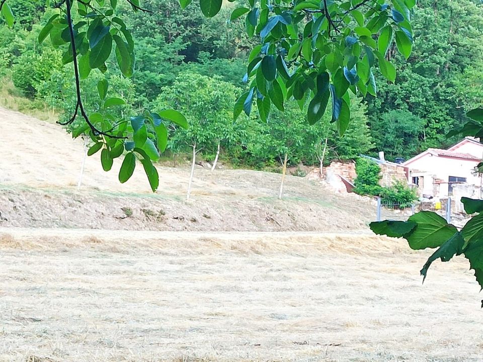 Villa a Pieve Torina, Macerata - foto 3