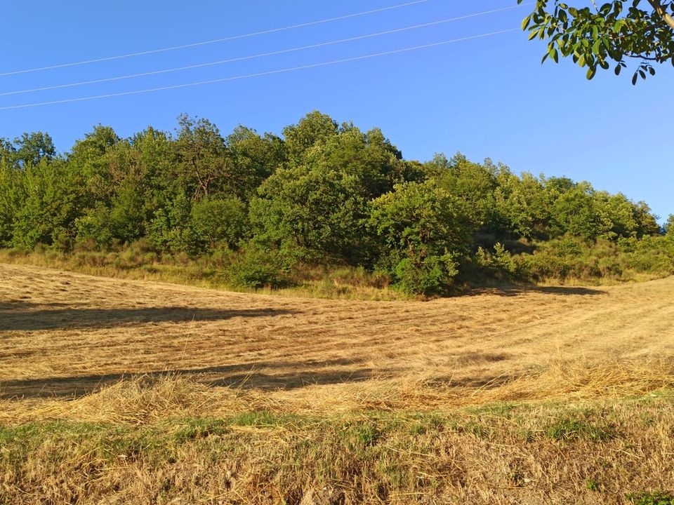 Villa a Pieve Torina, Macerata - foto 5