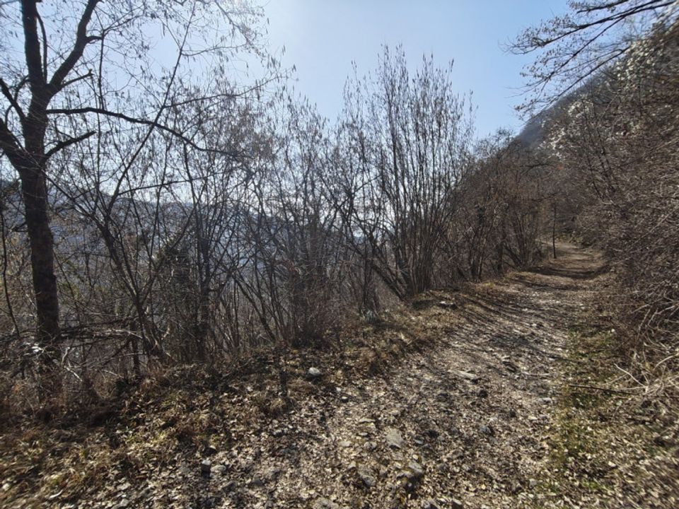 Helårsgrund i Belluno, Belluno - foto 1