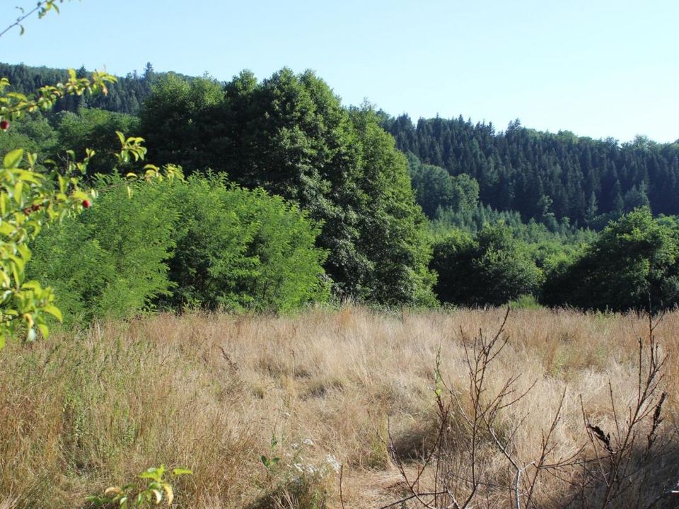 Villa i Uzerche, Correze - foto 2