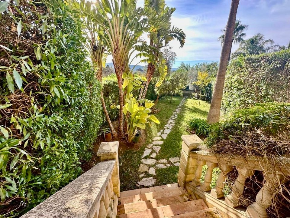 Finca i Calvia, Mallorca - foto 5