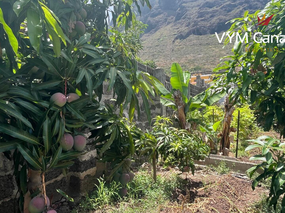 Finca i La Caleta De Interian, Tenerife - foto 2