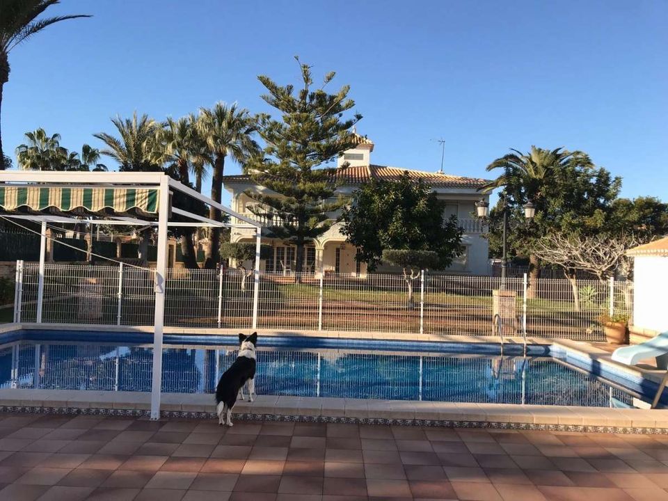 Villa i Orihuela Costa, Alicante - foto 3
