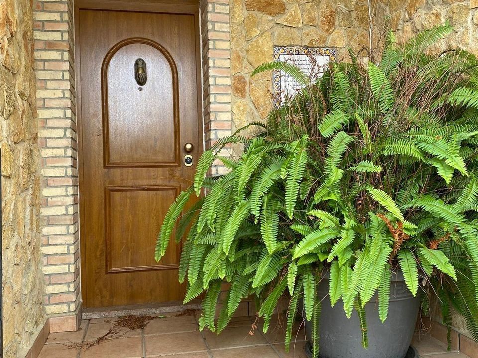 Villa i Orihuela Costa, Alicante - foto 1