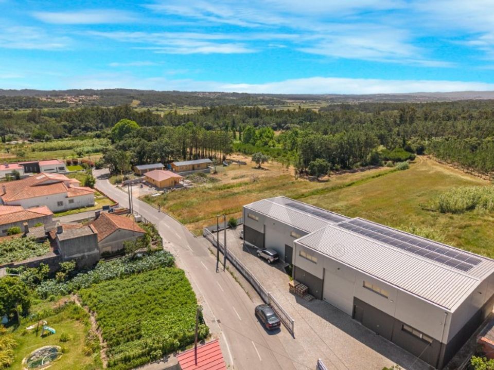 Tomt i Monte Real, Leiria - bilde 3