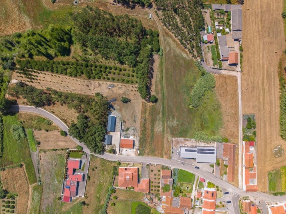 Tomt i Monte Real, Leiria - bilde 4