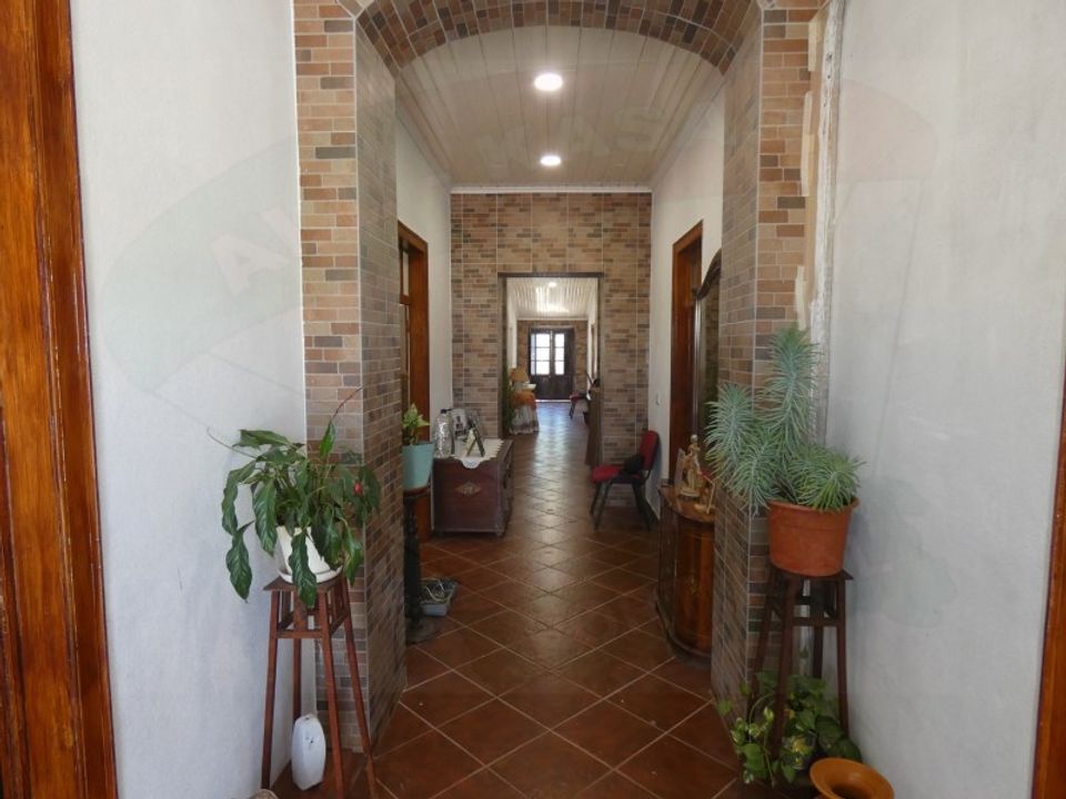 Farm i Sao Joao de Negrilhos, Beja - foto 3