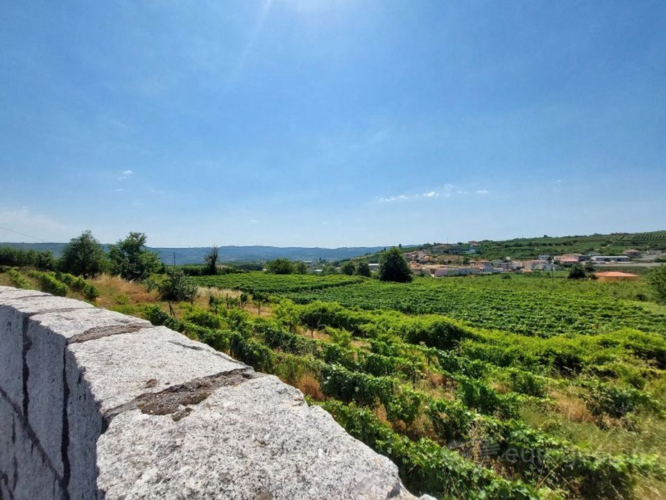 Farm i Lamego, Viseu - foto 1