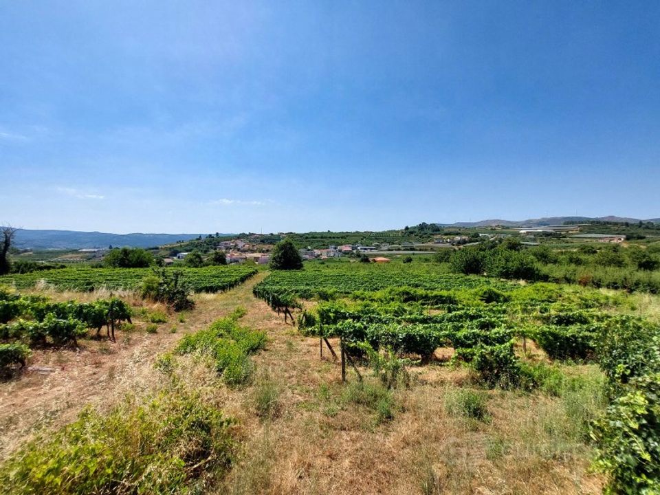 Farm i Lamego, Viseu - foto 2