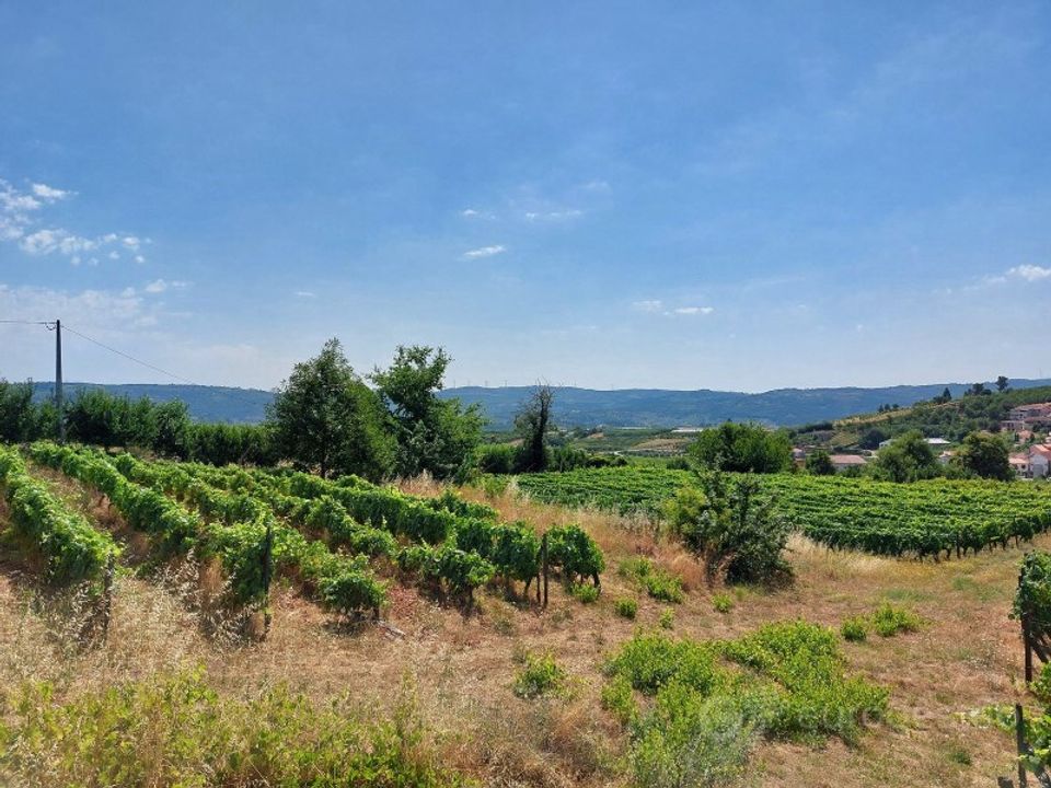 Farm i Lamego, Viseu - foto 3