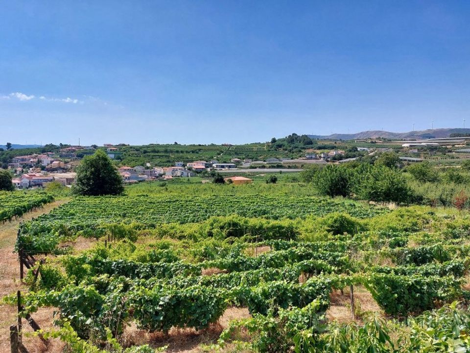 Farm i Lamego, Viseu - foto 4