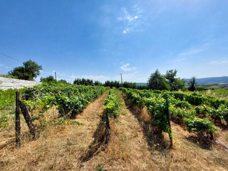 Farm i Lamego, Viseu - foto 5