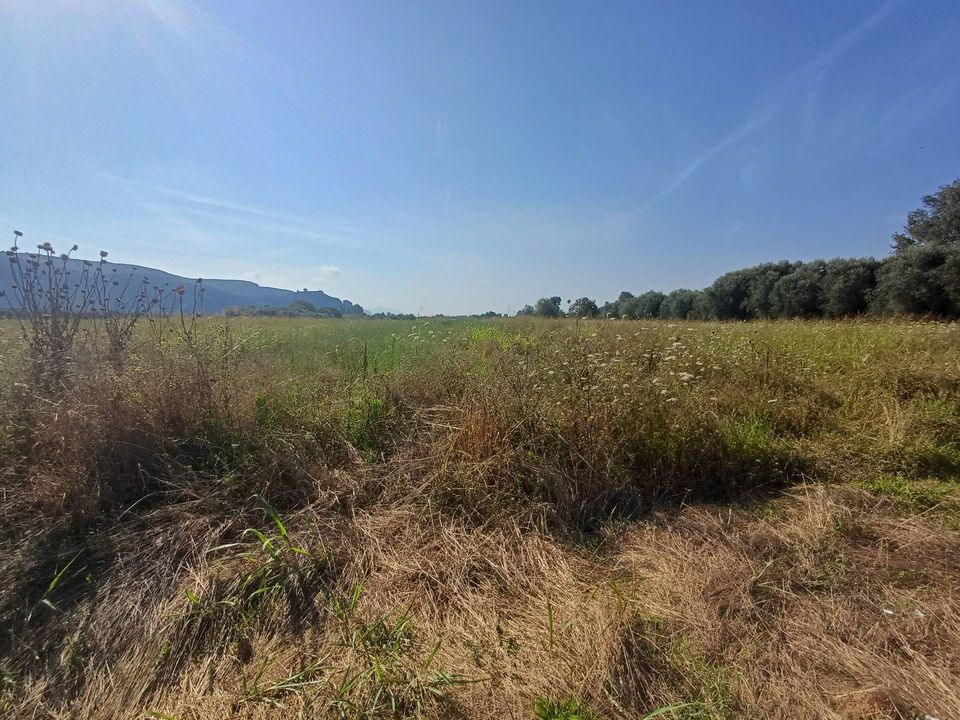 Helårsgrund i Vecchiano, Pisa - foto 1