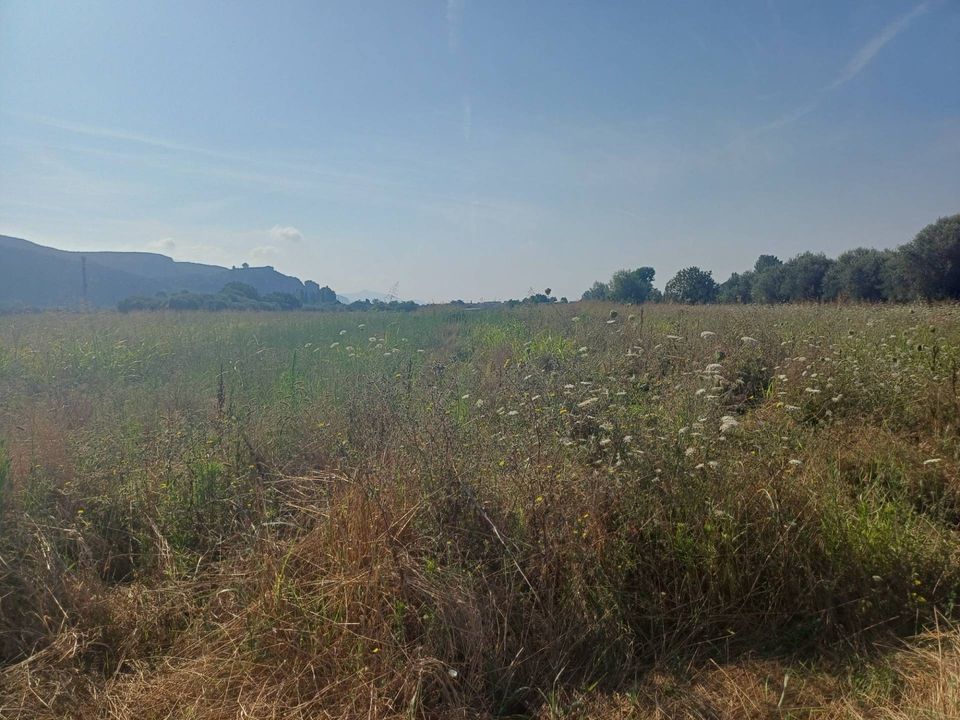 Helårsgrund i Vecchiano, Pisa - foto 3