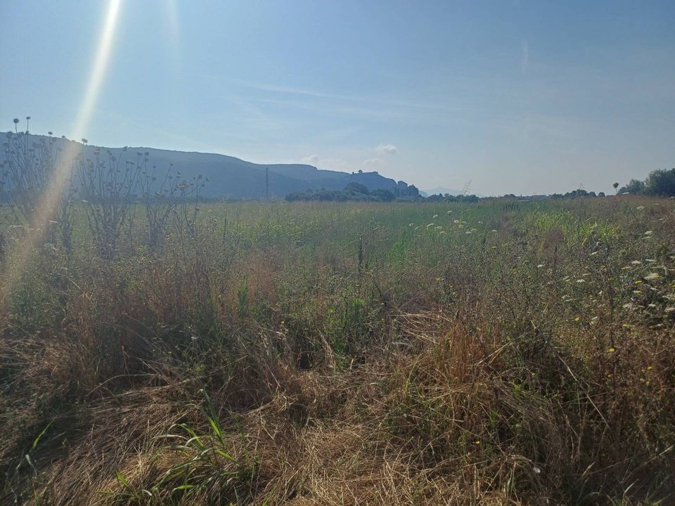 Helårsgrund i Vecchiano, Pisa - foto 4