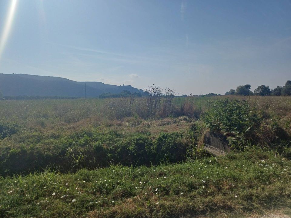 Helårsgrund i Vecchiano, Pisa - foto 5