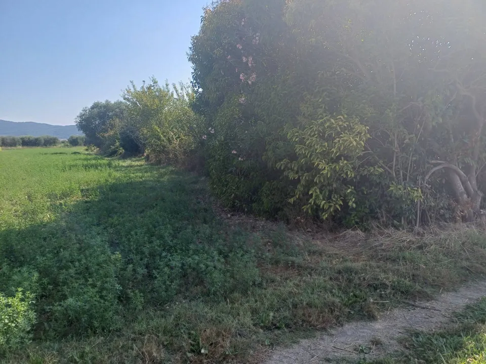 Helårsgrund i Vecchiano, Pisa - foto 2