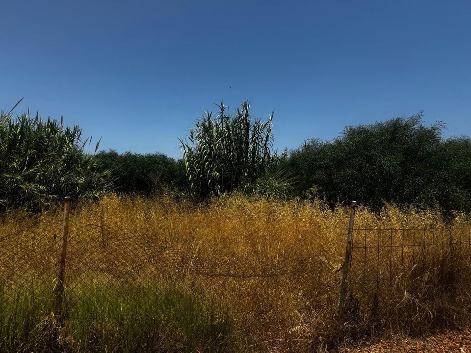 Helårsgrund i La Linea De La Concepcion, Cadiz - foto 1